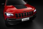 Jeep Cherokee Trailhawk 2019 года (WW)